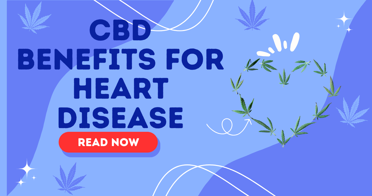 CBD for Heart Disease