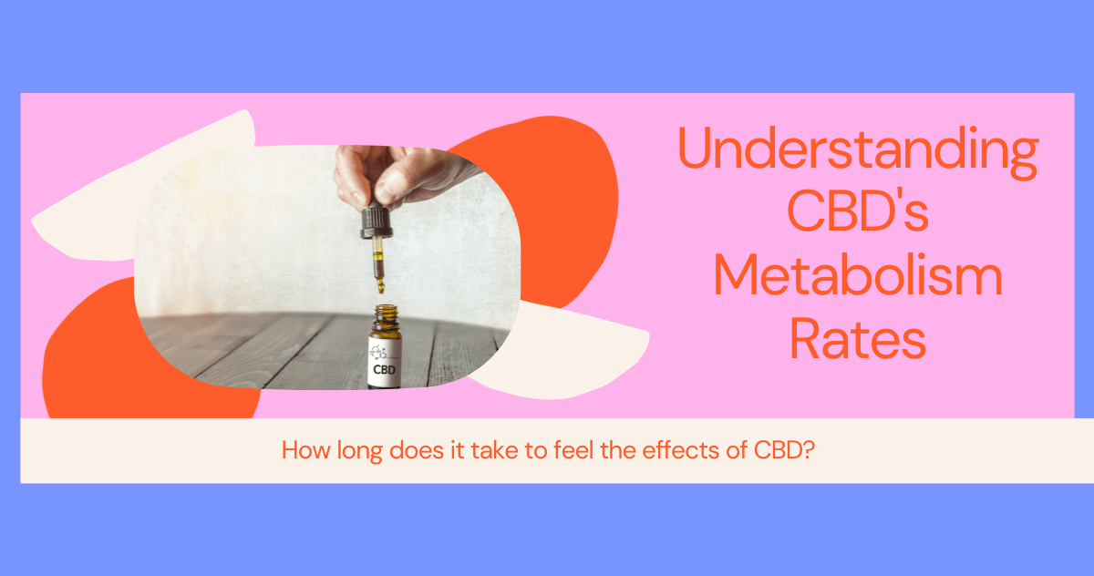 CBD Metabolism Rates