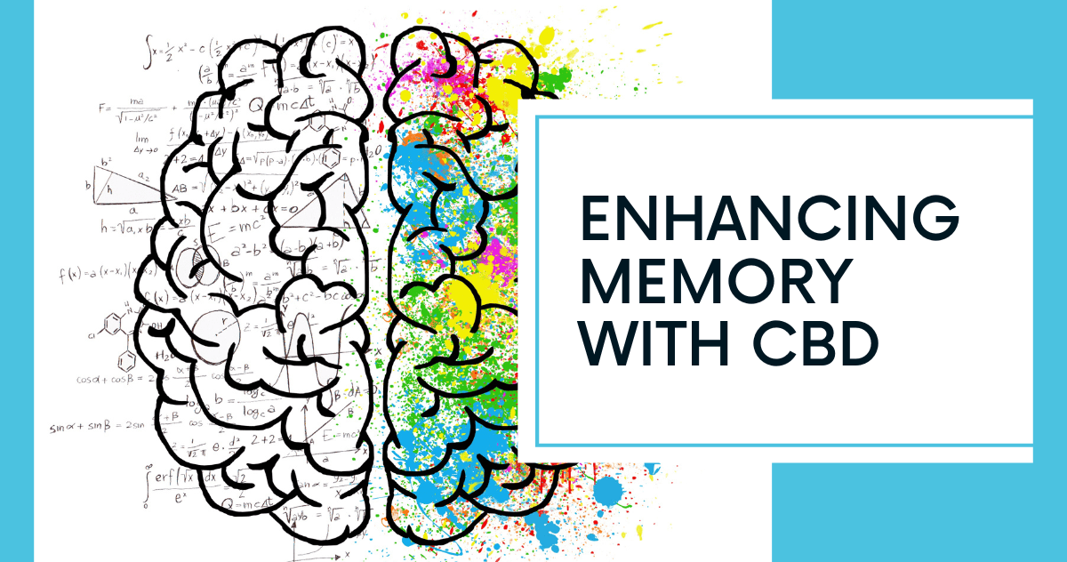 CBD and memory enhancement