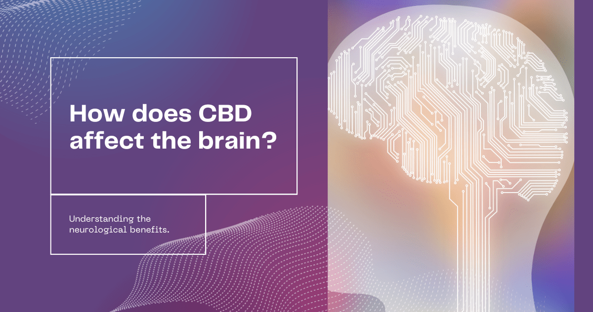 How does CBD work in the brain